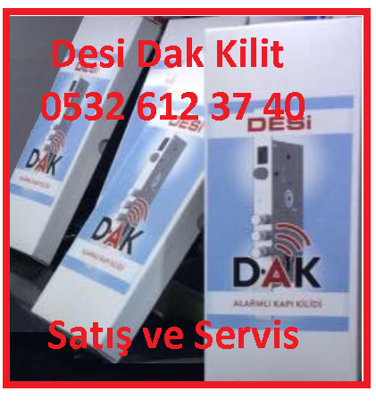 desi dak alarmli kilit blogger