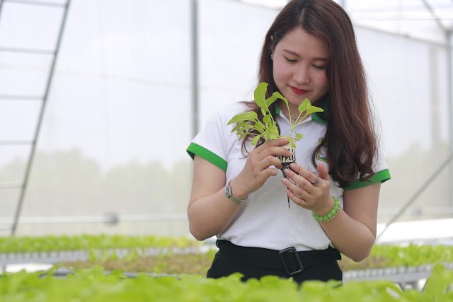 Ngành Lâm sinh là gì? Học ngành Lâm sinh ra làm gì? 