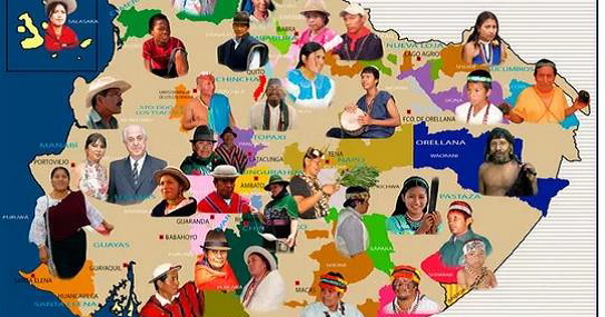 TAREAS PEDAGOGICAS: niños de séptimo año