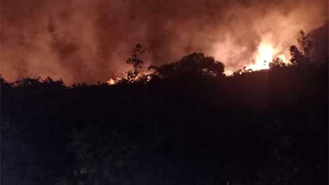 Kebakaran lahan di Bukit Taratak