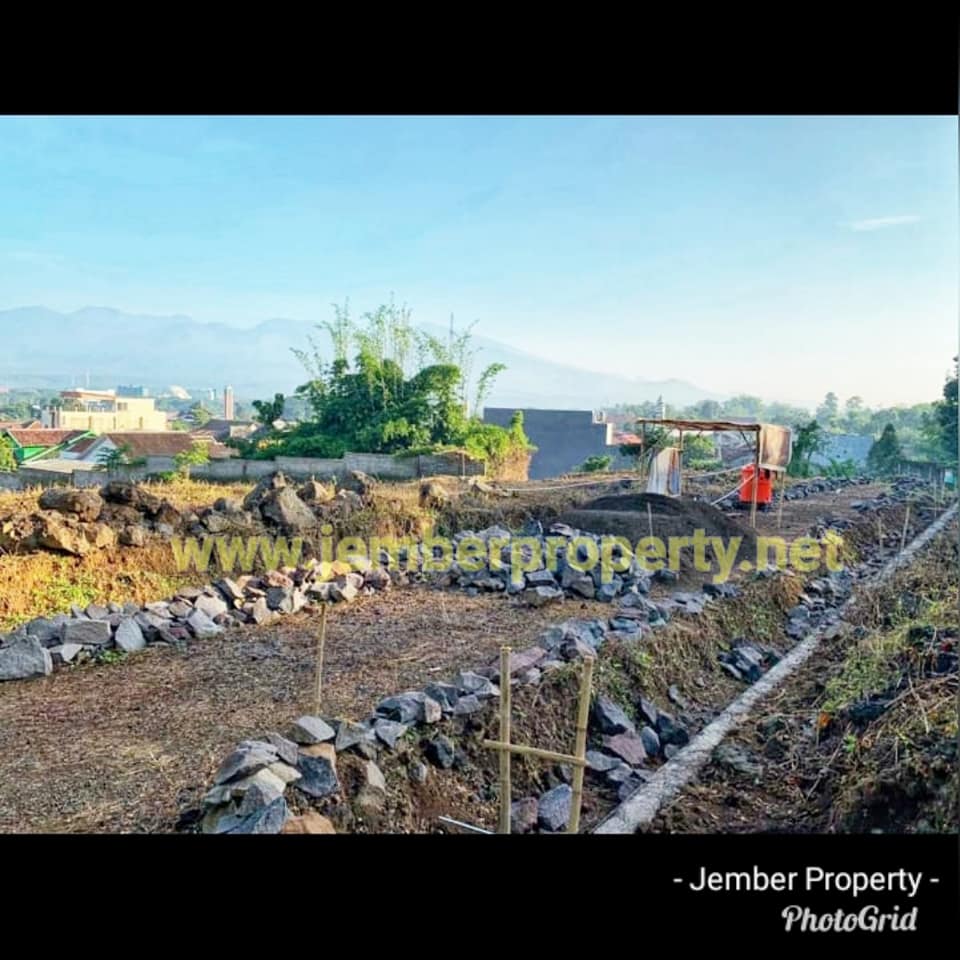 Orchid Cluster Tanah Kavling Di Daerah Kampus 2 5 Jember Property