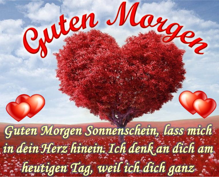 Spruche Kampfen Um Die Liebe Mit Herz Und Verstand