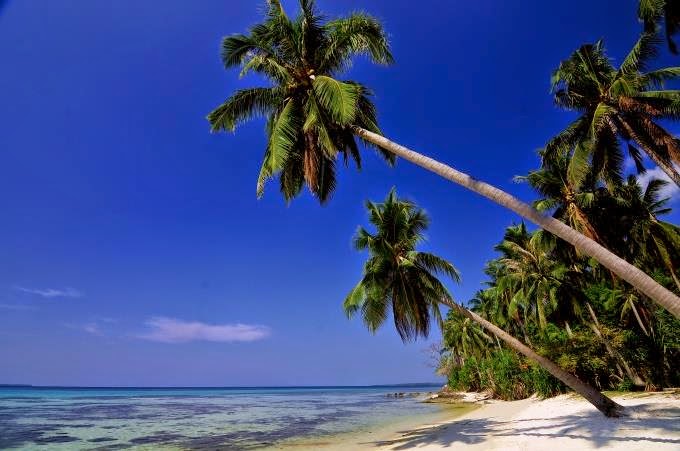 karimunjawa tour karimunjawa tour 2020