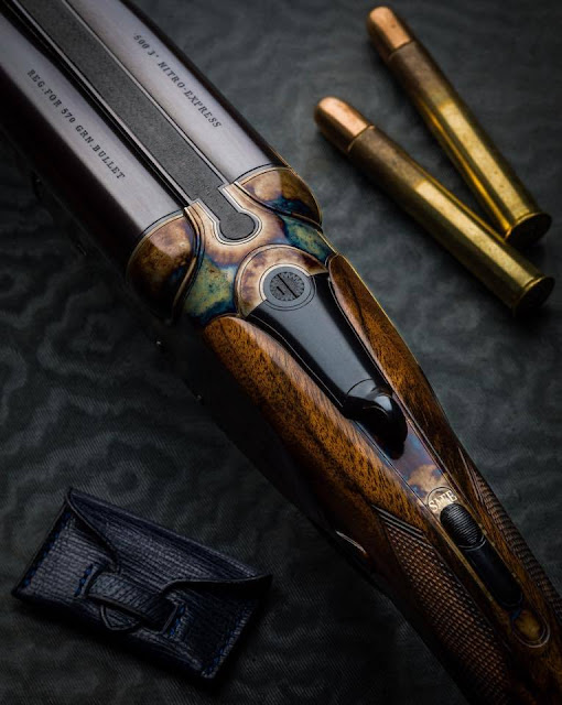 daily timewaster Squirrel Gun