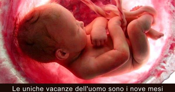 Aforismario Aforismi Frasi E Battute Sui Nove Mesi Di Gravidanza