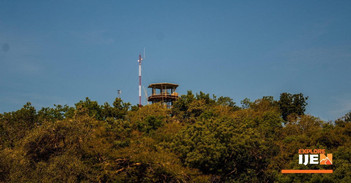 semua akan terlihat jelas di savana bekol Baluran dari menara pantau ini menara pantau savana bekol baluran