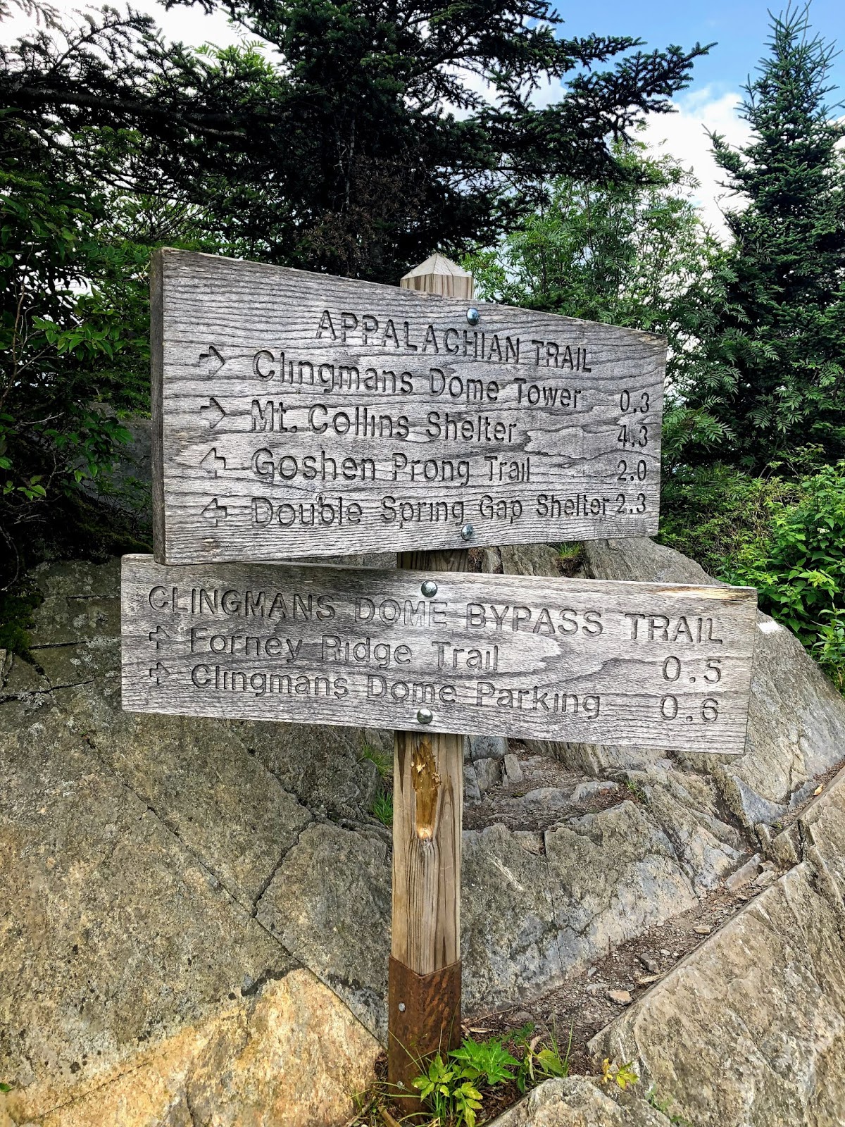 900 miles: Forney Ridge - Springhouse Branch - Forney Creek - Clingmans ...