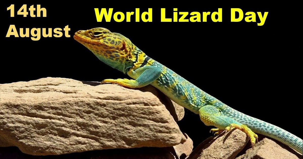 World Lizard Day - 14 August. ~ CURRENT AFFAIRS (CA) DAILY UPDATES