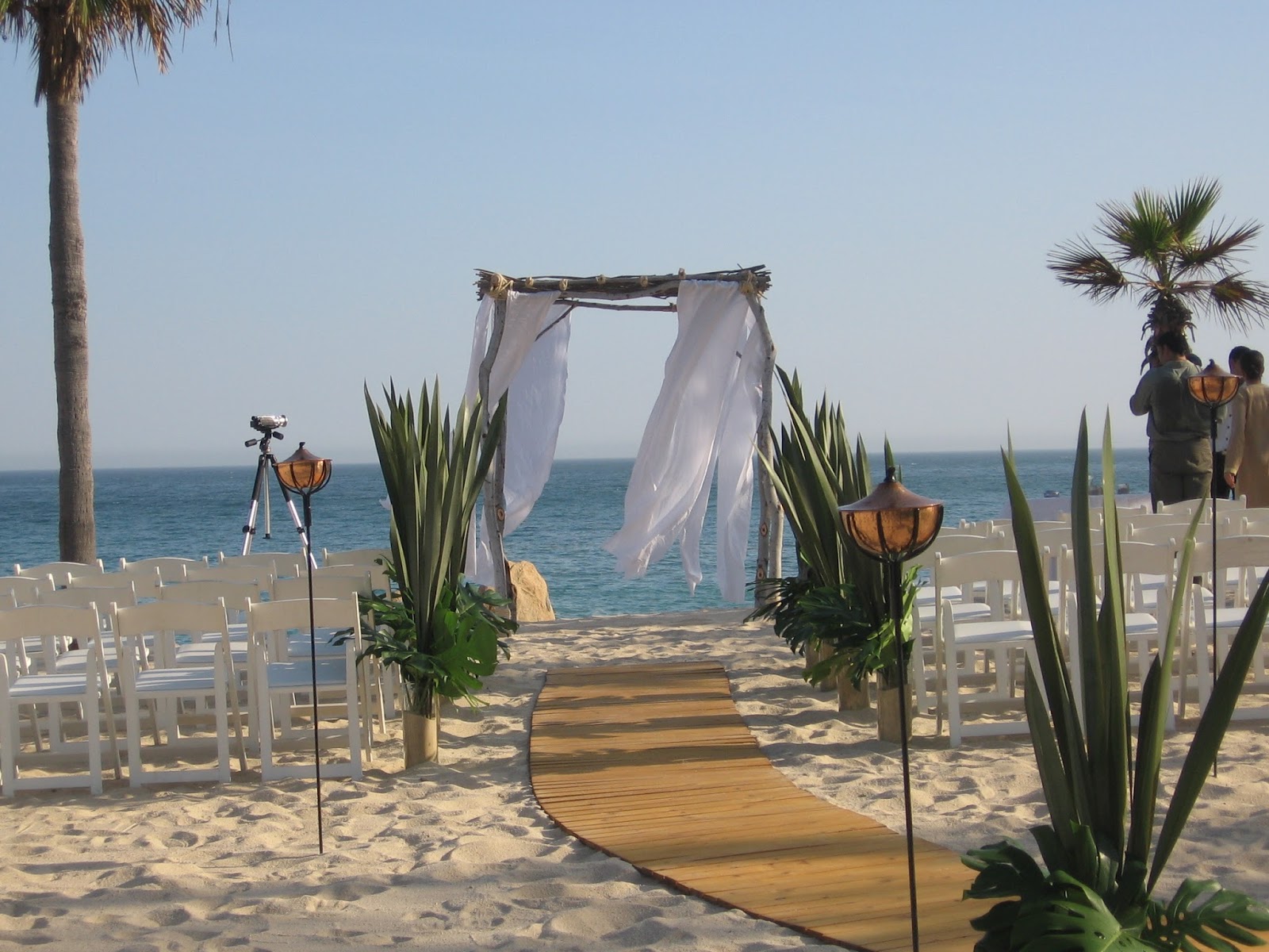 A Pristine Beach, Warm Tropical Breezes and the Love of your life Say