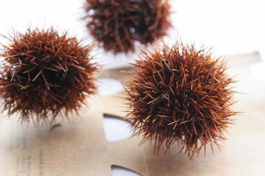 Manualidad: Erizo con cáscara de castaña8