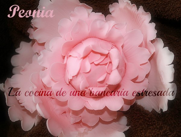 PEONIA GUM PASTE