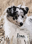 Iona