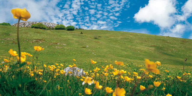 monte bondone cosa fare