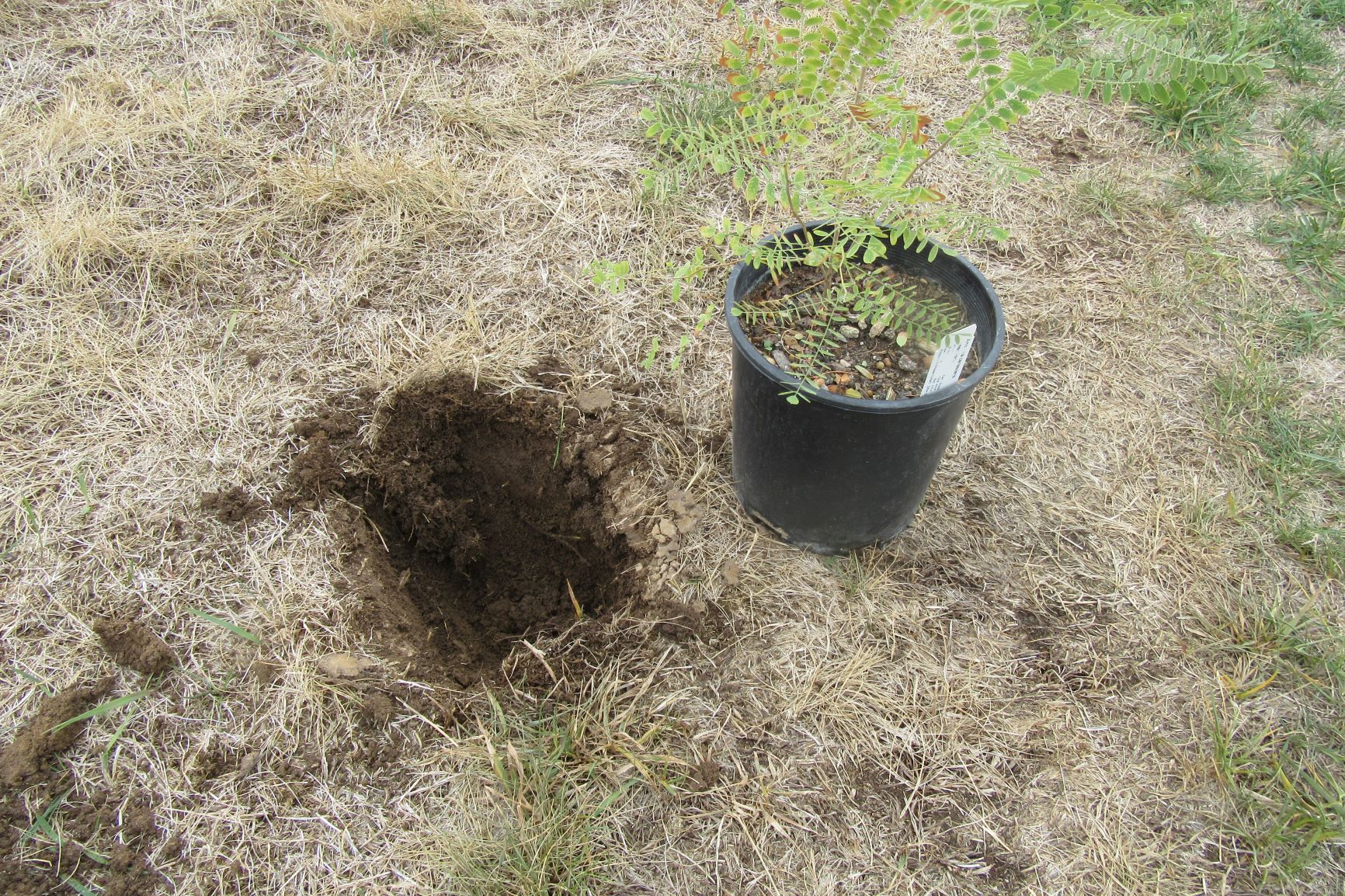 Mother Nature's Montrose Garden Gardening Tip September is Planting Month