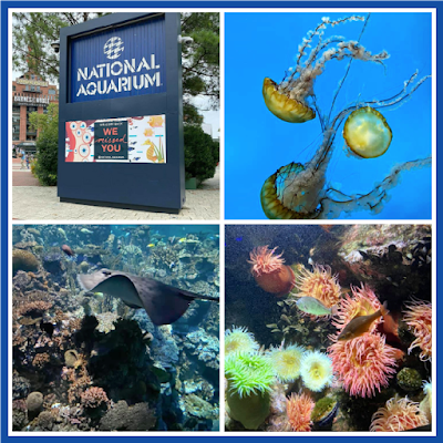 The National Aquarium in Baltimore Maryland