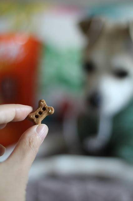 riley's organic dog treats