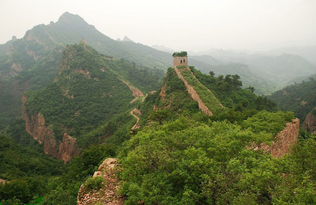 Некоторые участки Великой китайской стены поглотила природа…