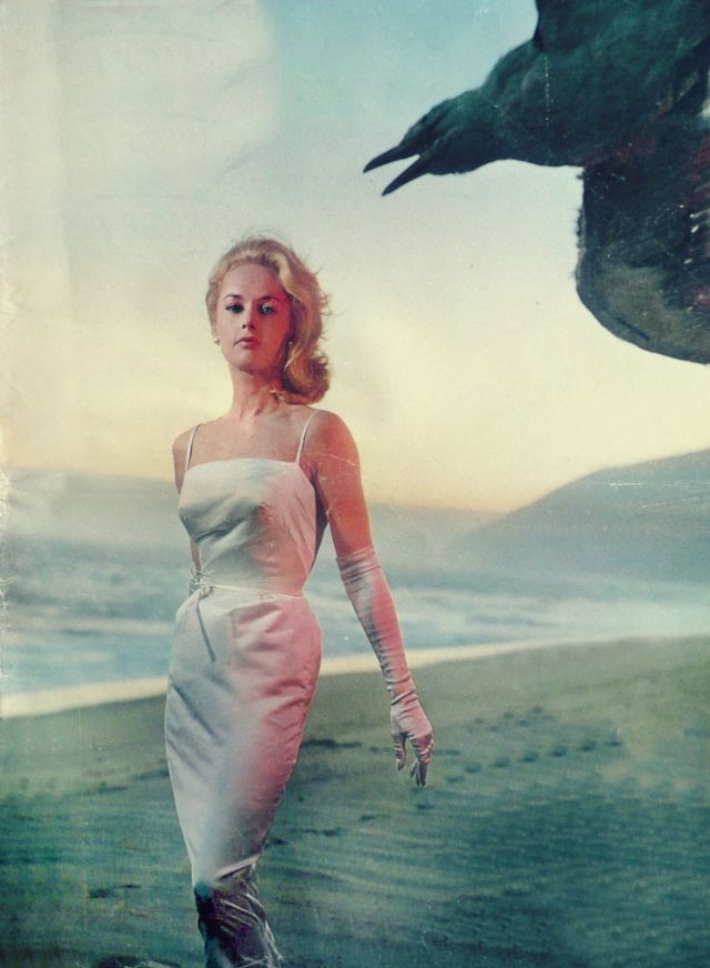 Young Tippi Hedren in the 1950s and ’60s Through Beautiful Photos ~ Vintage Everyday
