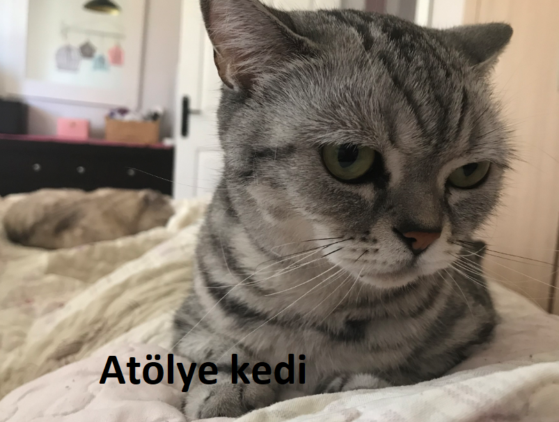 Atölye Kedi Cumadan Pazara…