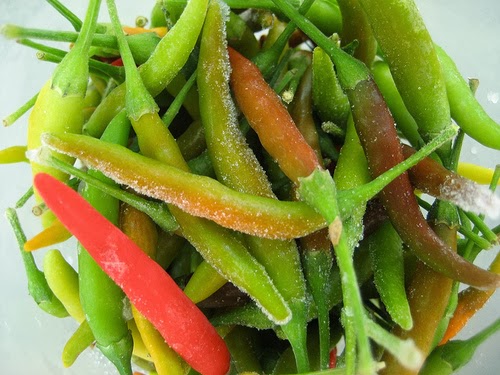 Heat your container garden with Hot Peppers | Garden Park