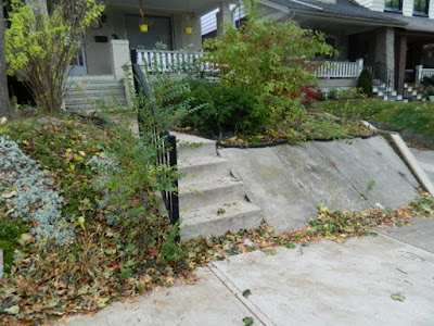 Upper Beaches Toronto Fall Cleanup Before by Paul Jung Gardening Services--a Toronto Organic Gardening Company Upper Beaches Toronto Fall Cleanup Before by Paul Jung Gardening Services--a Toronto Organic Gardening Company