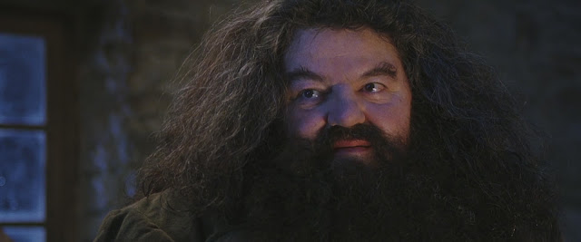 Bruxo do Mês de Novembro: Rúbeo Hagrid | Ordem da Fênix Brasileira