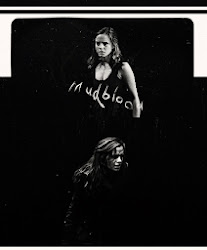 mudblood hogwarts hermione granger alumni