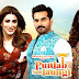 Punjab Nahi Jaungi 2017 Urdu 480p HDRip 400MB