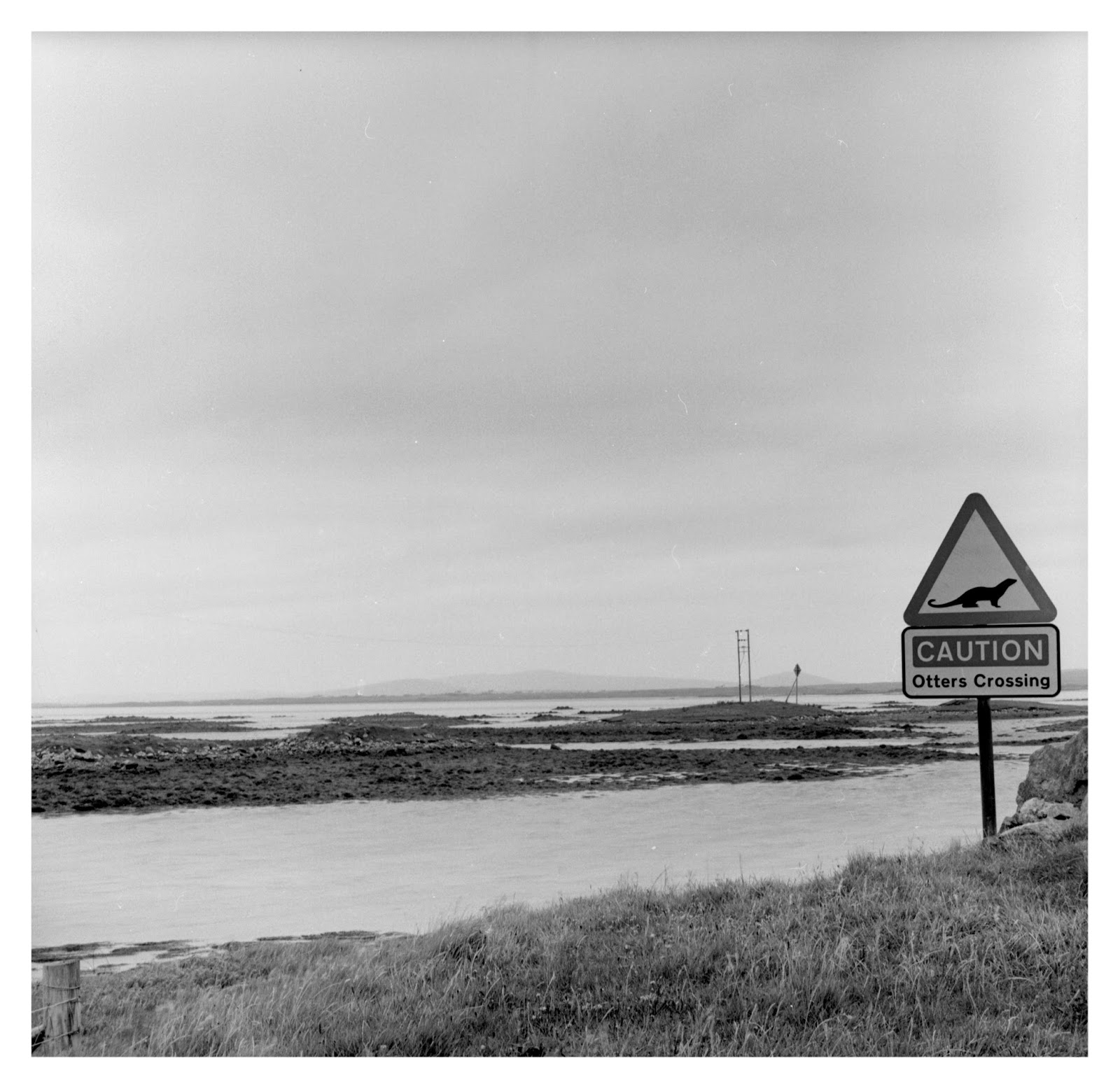 Boxes & Bellows: Otter home