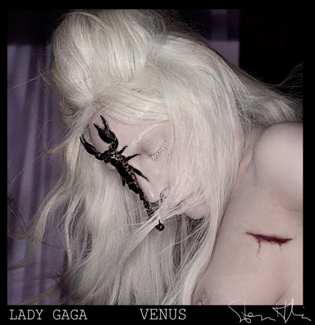 Lady-Gaga-in-Venus-da-Steven-Klein-629x6