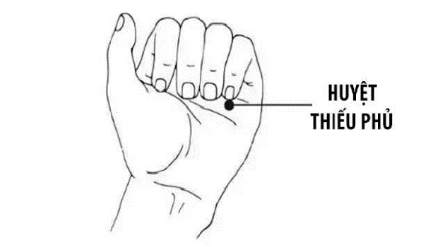 Vị trí huyệt thiếu phủ