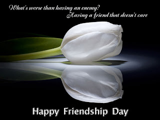 friendship day wallpapers 2012