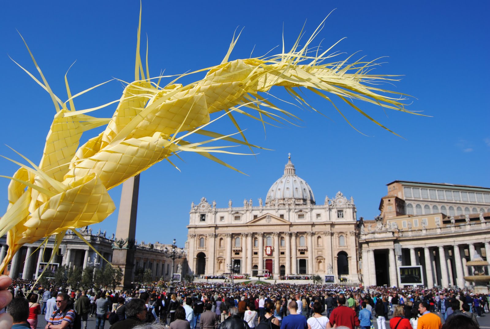 Orbis Catholicus Secundus Palm Sunday at the Vatican