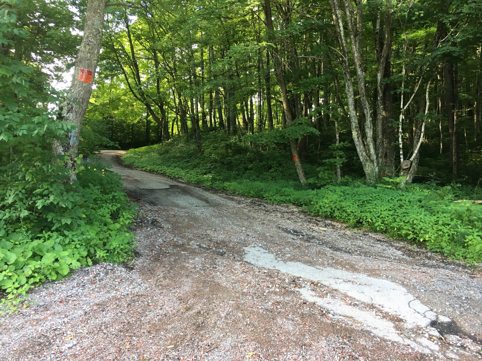 Black Mountain, Kentucky