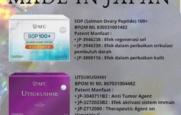 0811722504 SOP 100 Lampung