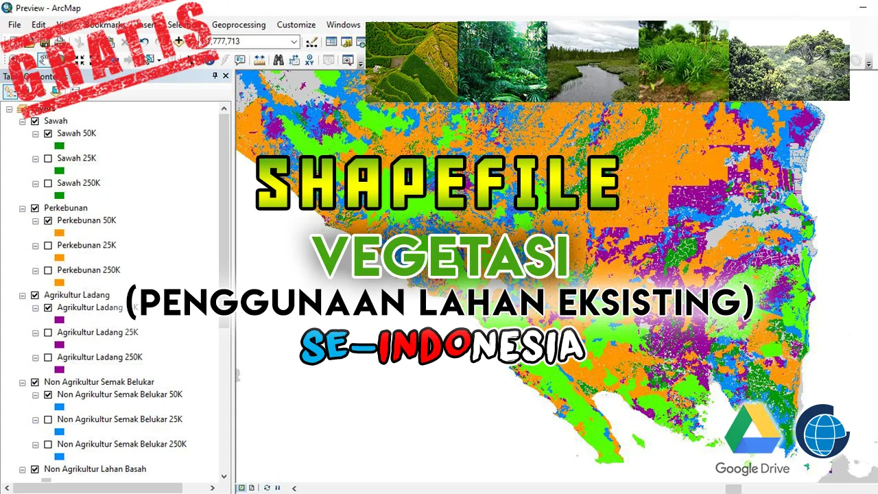 Data Shapefile Vegetasi (Penggunaan Lahan Eksisting) Indonesia