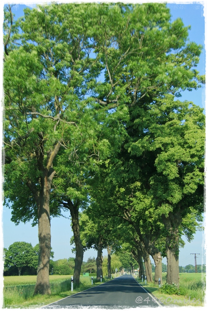 New Fsr Plate Mounting System Sublime Layers