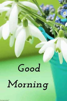 good morning flowers images