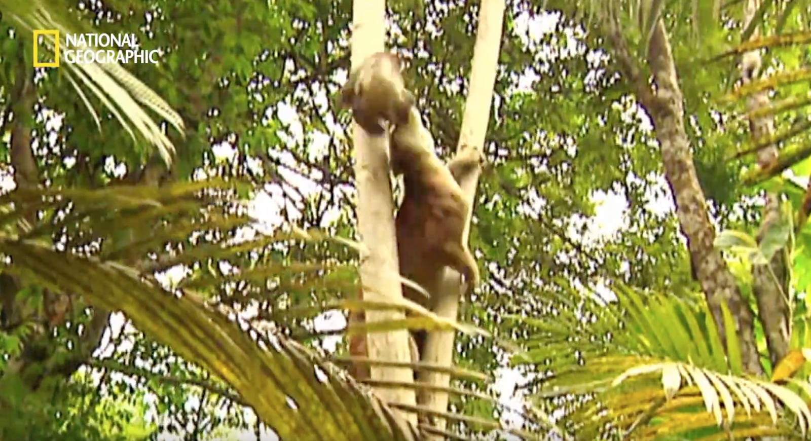 %25E1%2584%2589%25E1%2585%25B3%25E1%2584