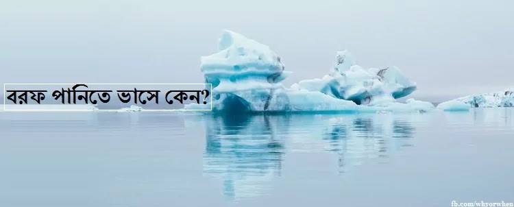 বরফ পানিতে ভাসে কেন