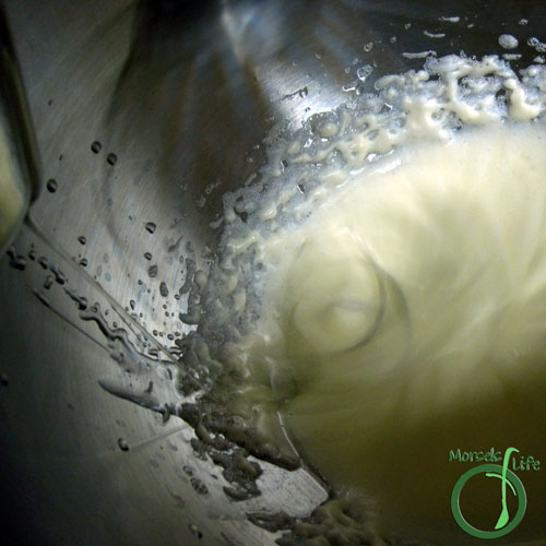 Morsels of Life - Mayonnaise Step 3 - Slowly beat in oil. Start dropwise, and then as the oil is emulsified, you can add the oil at a faster rate.