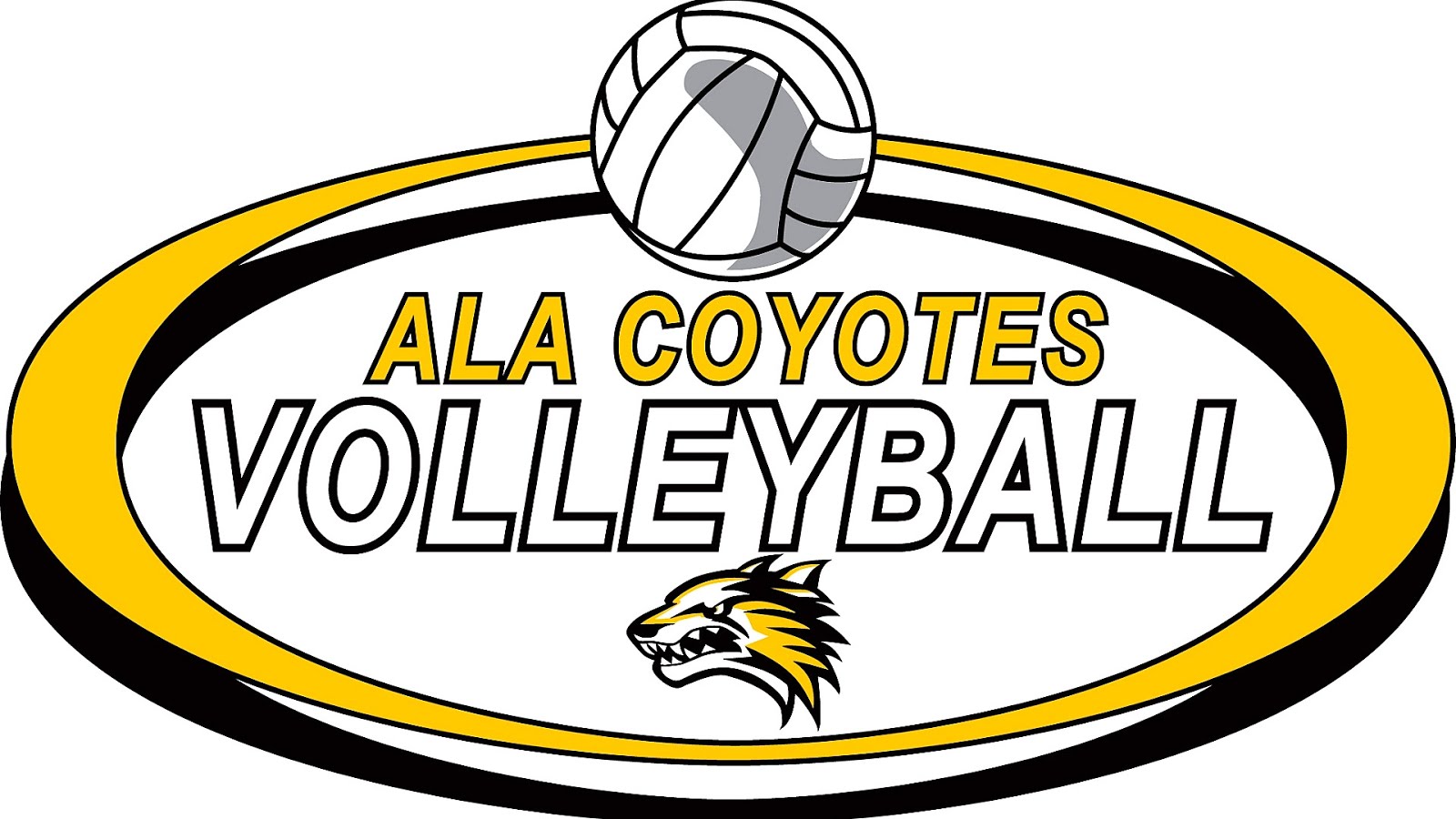 Midwestern Intercollegiate Volleyball Association Volley Choices