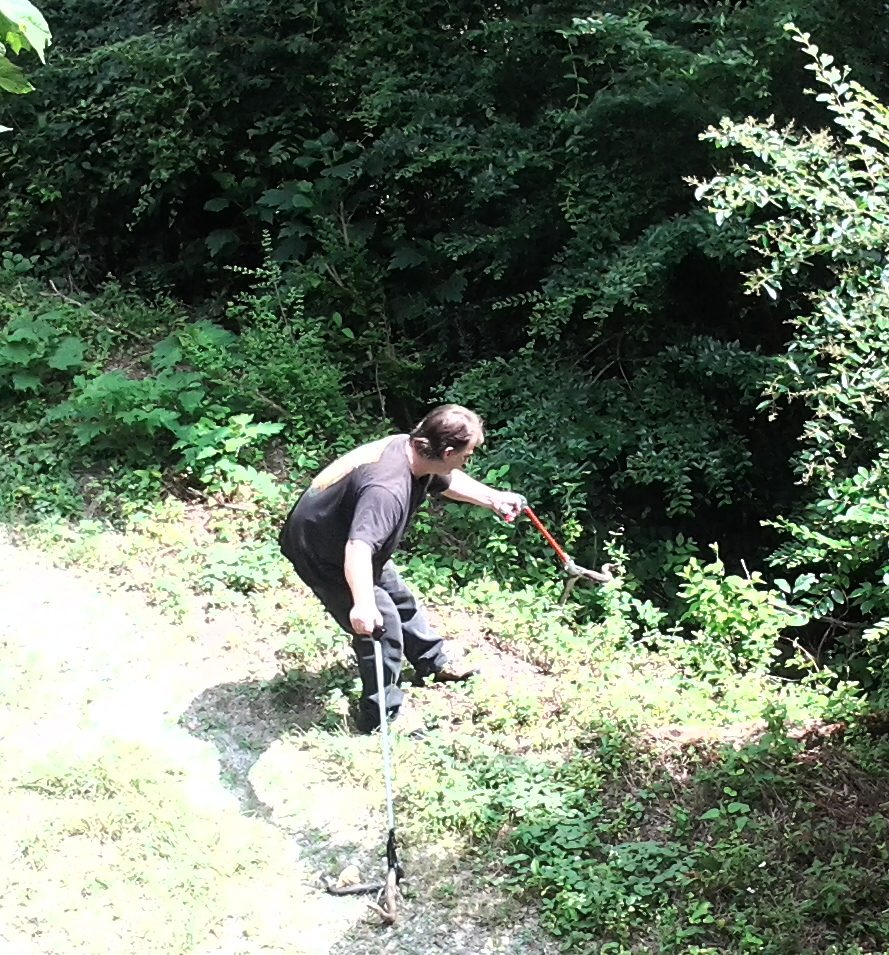 Old field Studio & Leo Lakes I Yelled Snake!