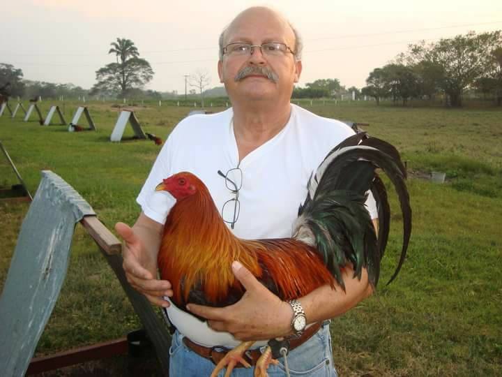 Gallos Y Galleros (NUEVO) Homenaje A Juan Greer