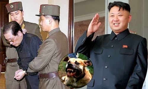 execution by dogs north korea