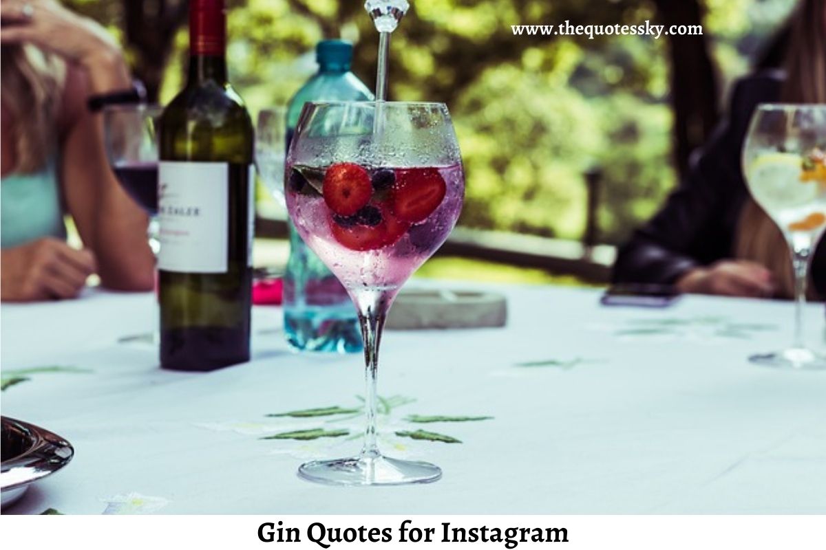 100+ Gin Quotes for Instagram [ 2021 ] Also Cocktail Captions The