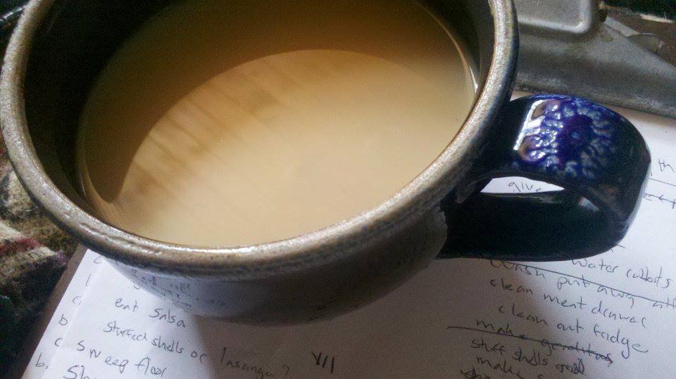 Life From Scratch Cheap Homemade Raw Sugar TasteaLike