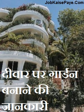 What to do to give the walls of the house a garden look What to do to give the walls of the house a garden look