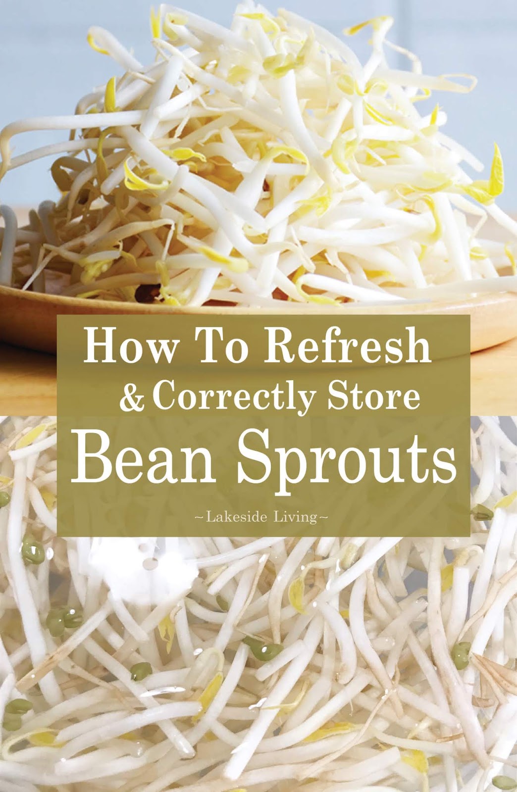 How To Refresh and Store Bean Sprouts