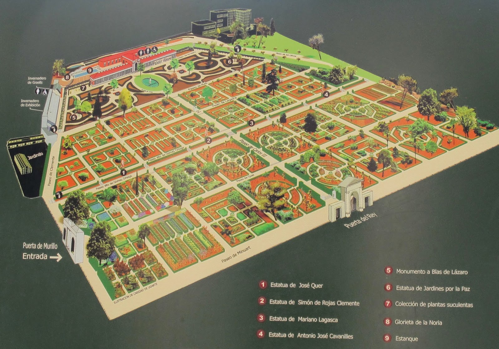 ÁRBOLES DE MADRID. El gato por las ramas.: CIPRÉS DEL REAL JARDÍN BOTÁNICO